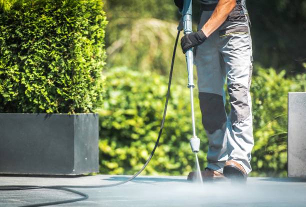 Animal Enclosure Cleaning in Pitcairn, PA